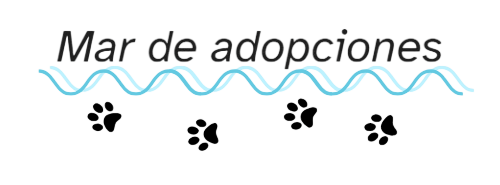 Frase 'Mar de adopciones' con líneas onduladas azules huellas de gatos y perros